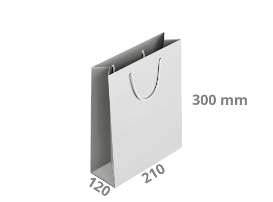 Geschenktasche - Hochformat: 210x120x300 mm (D1)